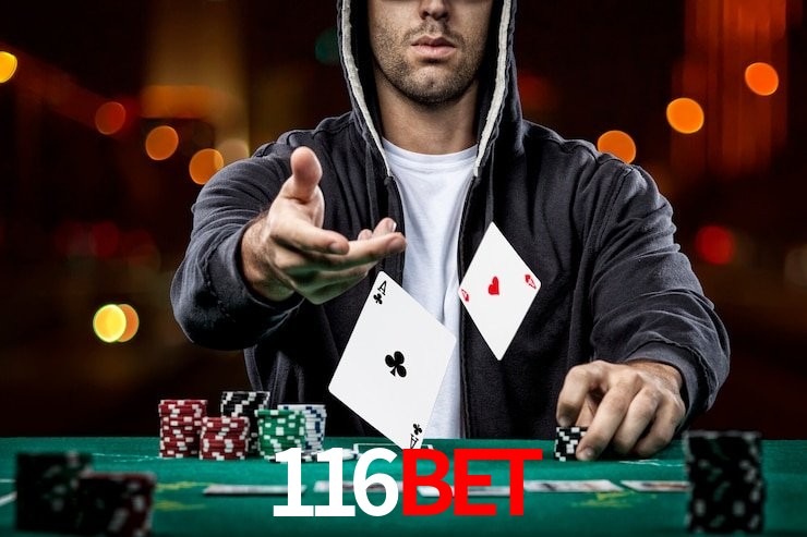 APP oficial da 116bet para mobile