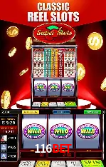 Flash Promotion 116bet